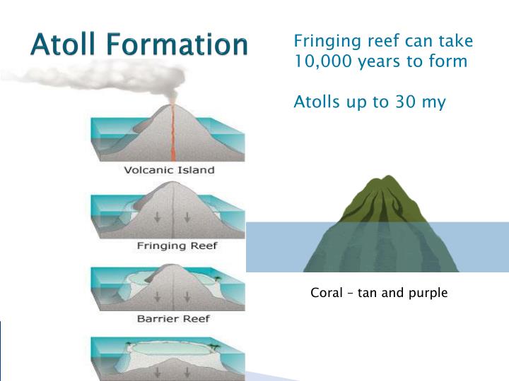 PPT - Coral Reefs and Lagoons PowerPoint Presentation - ID:2365690