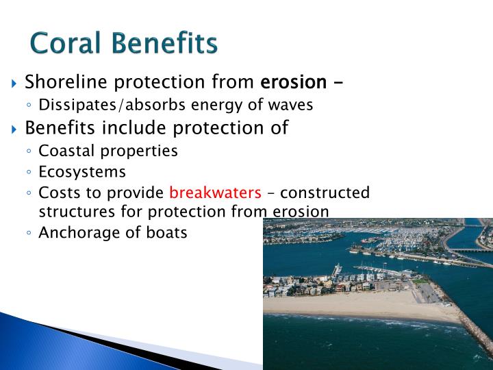 PPT Coral Reefs and Lagoons PowerPoint Presentation ID2365690