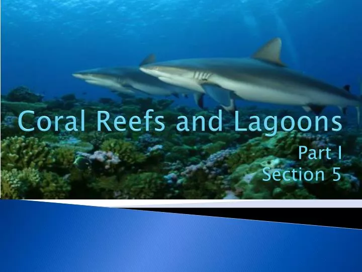 coral reefs and lagoons n.