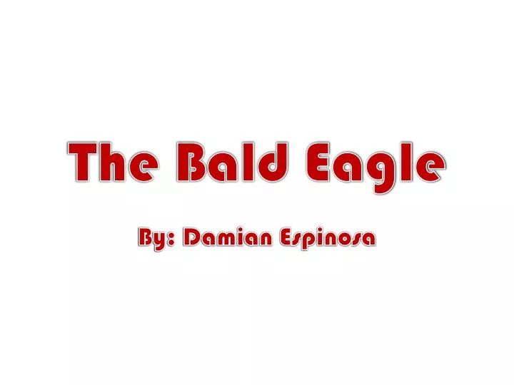 the bald eagle n.