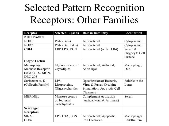 Other Pattern Recognition Receptors | ppt one critical protein one critical peptide one Other Pattern Recognition Receptors | ppt one critical protein one critical peptide one