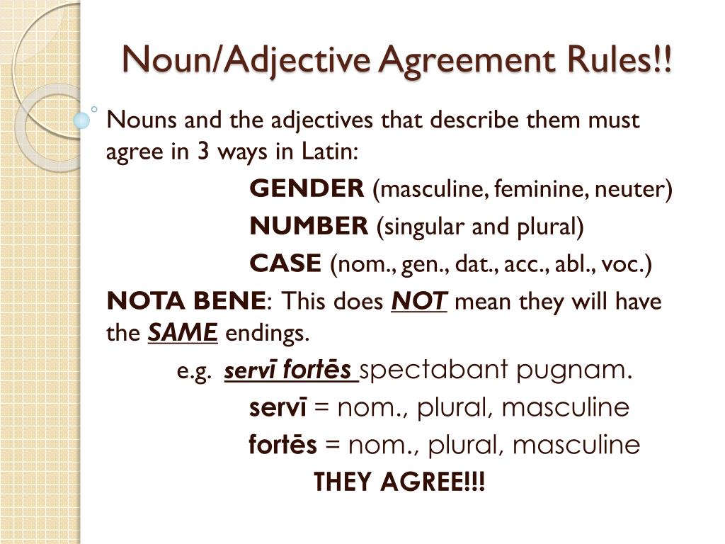 Noun Adjective Agreement Latin Cambridge Worksheet Stage 14