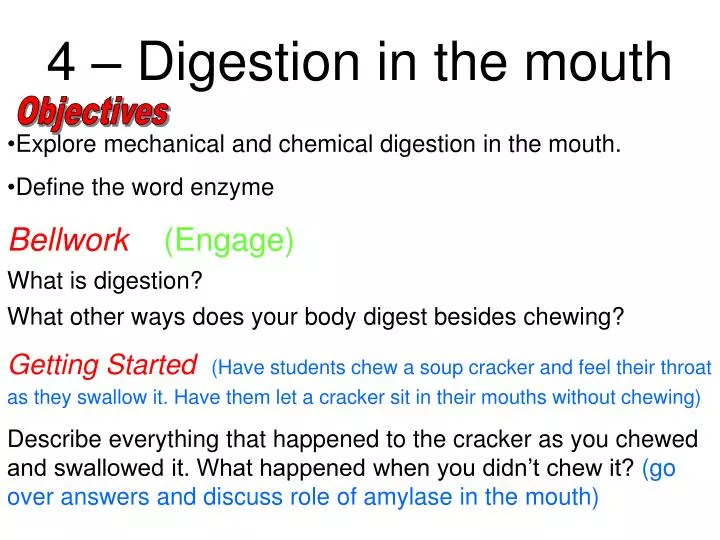 discuss the role of enzymes in discuss the role of enzymes in