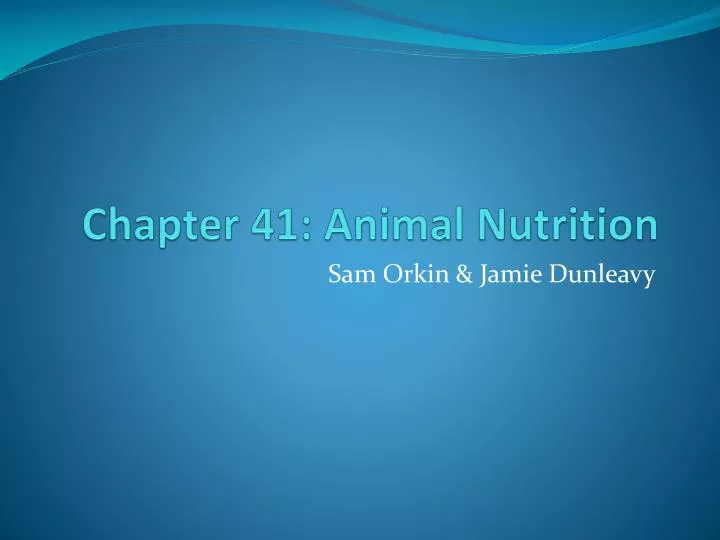 PPT - Chapter 41: Animal Nutrition PowerPoint Presentation, Free ...