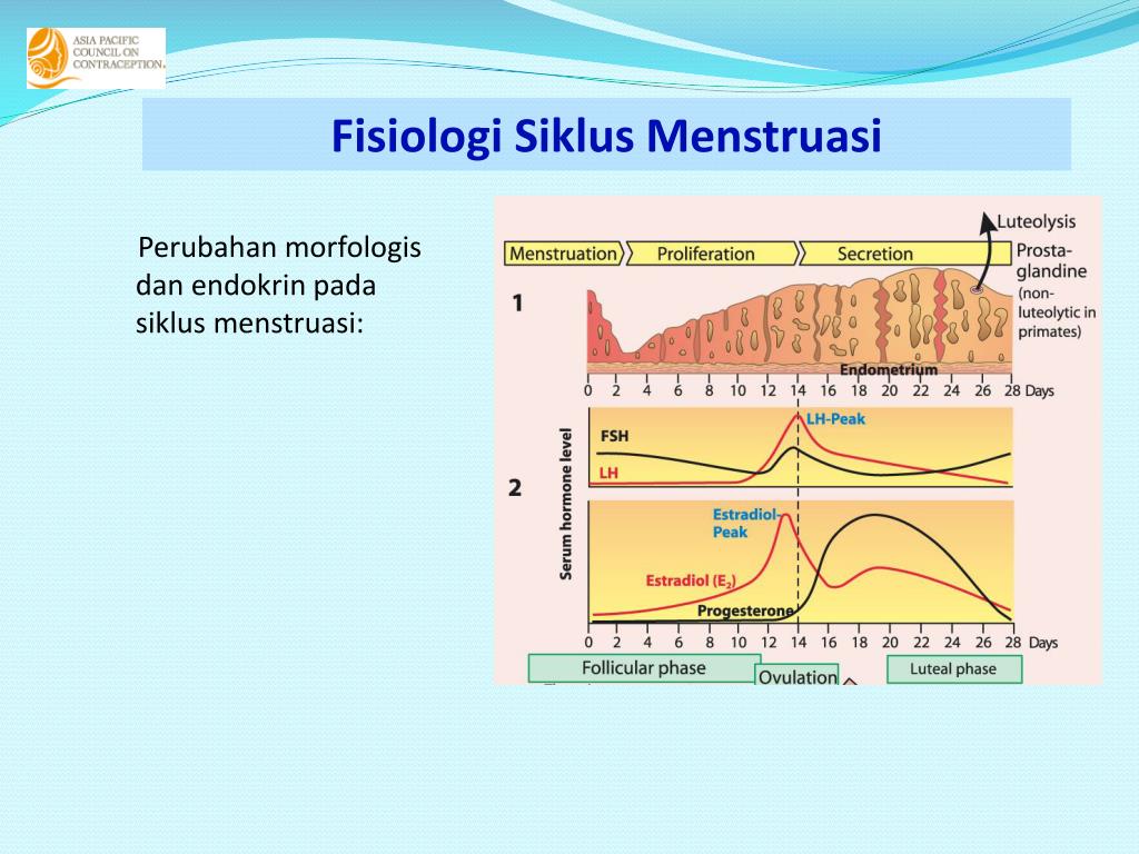  Gambar  Grafik Level Hormon Dalam Siklus Menstruasi  
