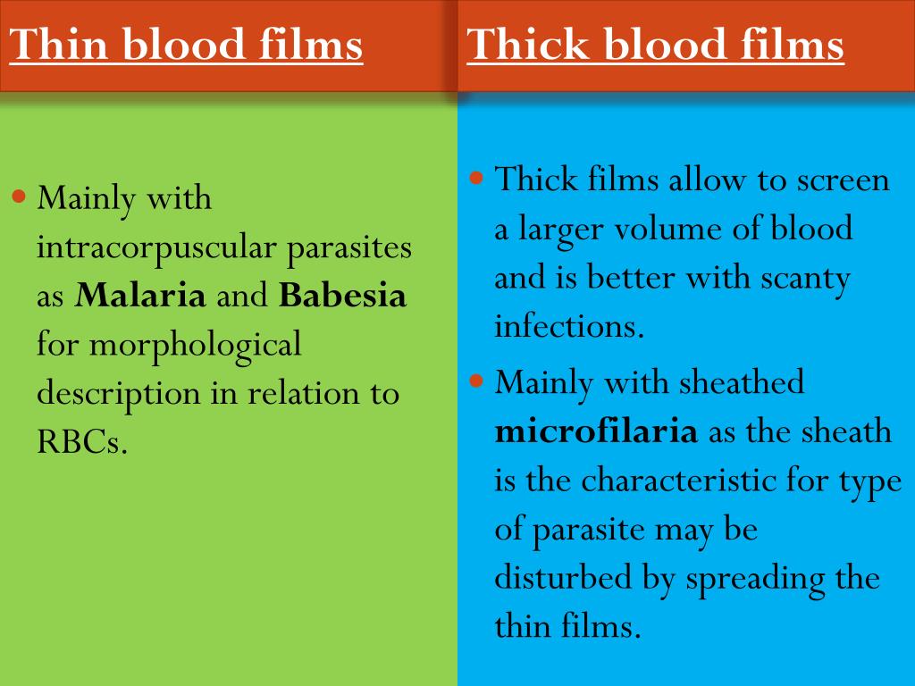 PPT Medical Parasitology PowerPoint Presentation, free download ID