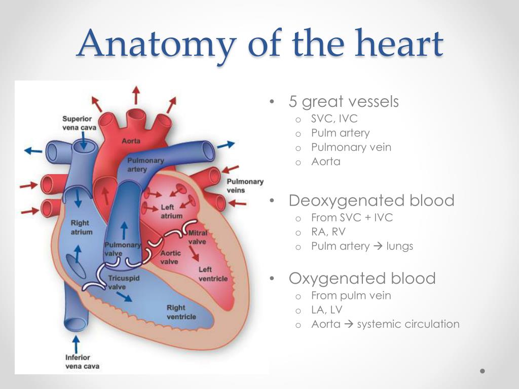 PPT - CONGENITAL HEART DISEASE PowerPoint Presentation, free download