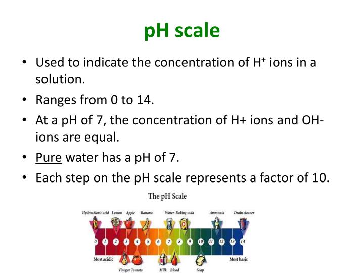 PPT - Properties of Water PowerPoint Presentation - ID:2370697