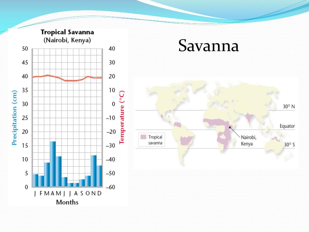 PPT Savannas PowerPoint Presentation Free Download ID 2371685