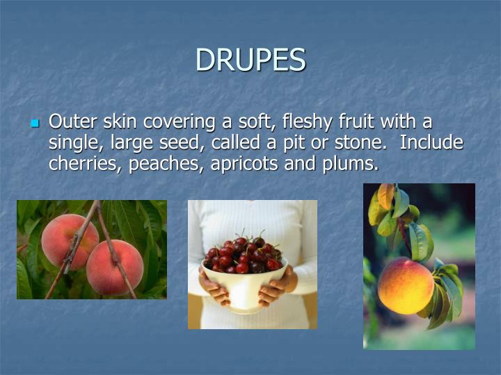 PPT - Fruits Categories and Classification PowerPoint Presentation - ID ...