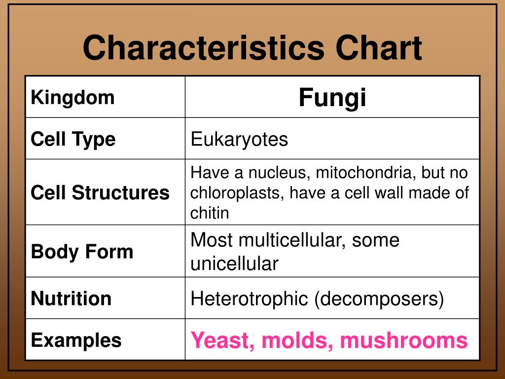 Kingdom Plantae Characteristics Chart