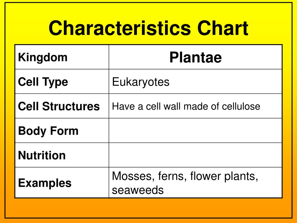 Archaebacteria Characteristics Chart