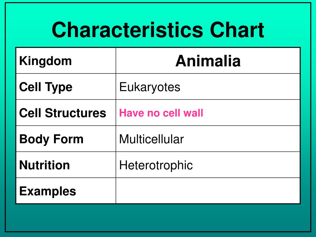 Six Kingdoms Characteristics Chart
