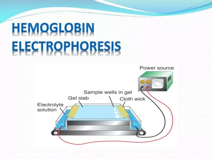 hemoglobin electrophoresis n.