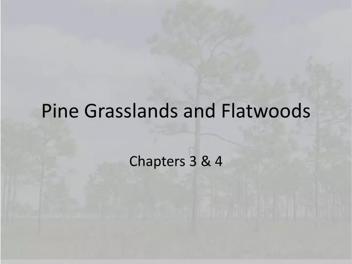 pine grasslands and flatwoods n.