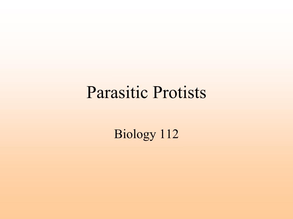 PPT - KINGDOM PROTISTA Biology 112 PowerPoint Presentation, free download - ID:23729751024 x 768