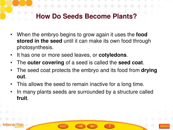 PPT Table of Contents Plant Structures Plant Reproduction Animal