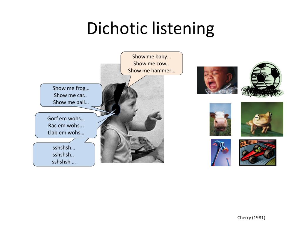 dichotic listening men and women dichotic listening men and women