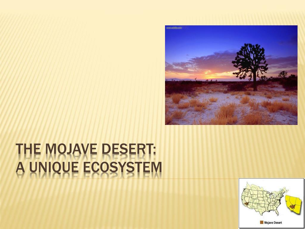 PPT - The Mojave Desert: A Unique Ecosystem PowerPoint Presentation, free  download - ID:2375787
