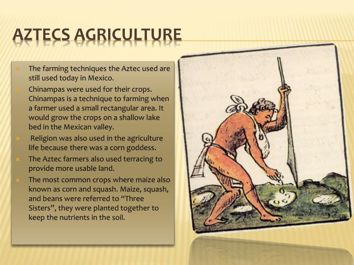 PPT Aztec Project Tiffany Stevens PowerPoint Presentation ID2376033
