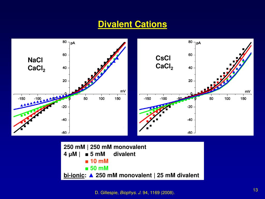 PPT - Dirk Gillespie Department of Molecular Biophysics and Physiology ...