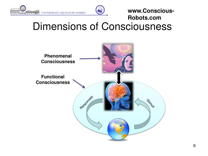 PPT - Towards the Generation of Visual Qualia in Artificial Cognitive ...
