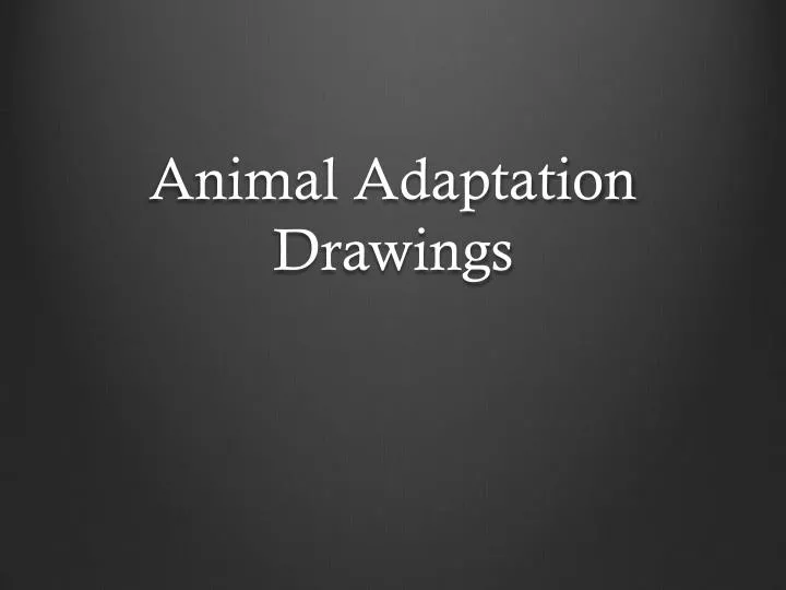 PPT Animal Adaptation Drawings PowerPoint Presentation, free download