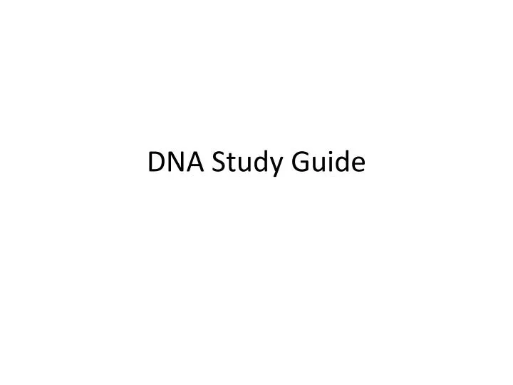 dna study guide n.