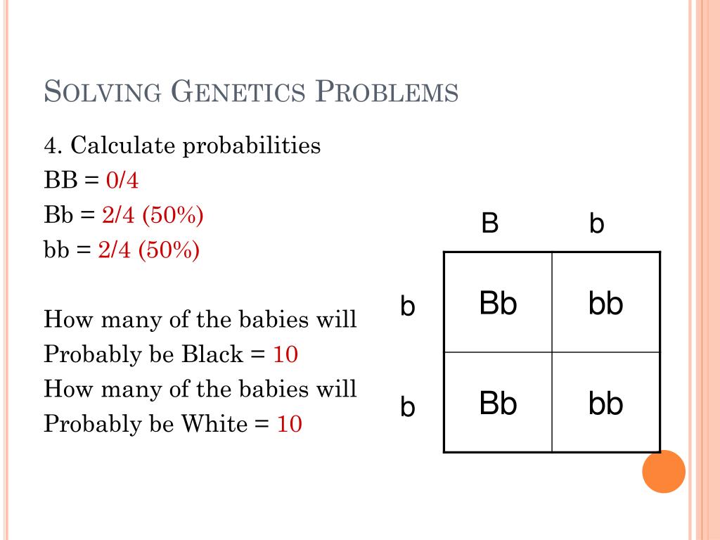 genetics problems can be solved by using ____ logical steps