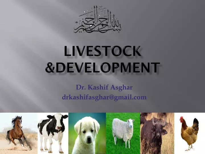 PPT - Livestock &Development PowerPoint Presentation, free download - ID:2377653 PPT - Livestock &Development PowerPoint Presentation, free download - ID:2377653