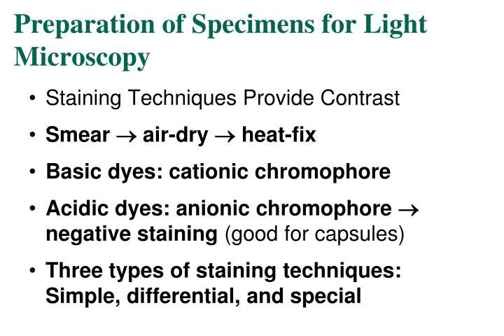 PPT - Ch 3: Observing Microorganisms Through a Microscope PowerPoint ...