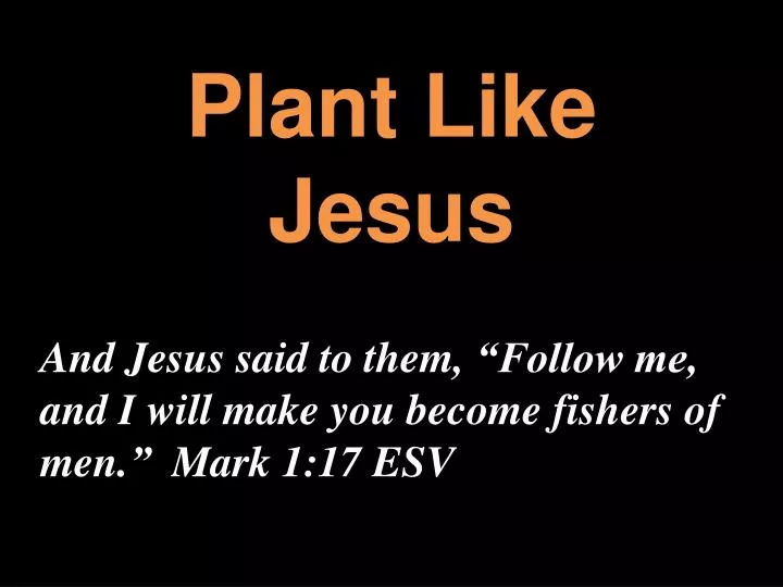 plant like jesus n.
