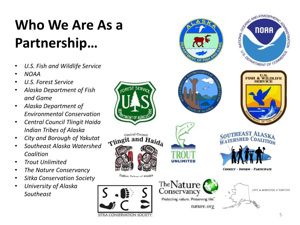 PPT Introductions Neil Stichert USFWS Juneau Field Office, SEAKFHP