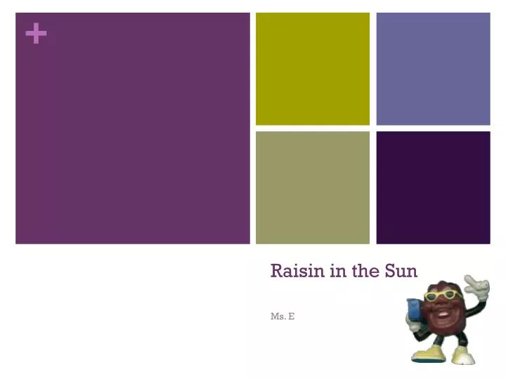 raisin in the sun n.