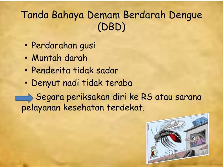  PPT  Demam  Berdarah  Dengue DBD PowerPoint  Presentation  