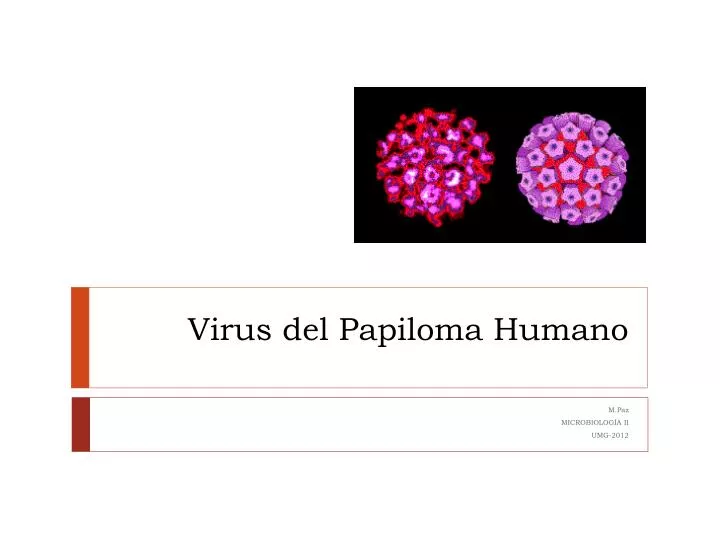 virus del papiloma humano n.