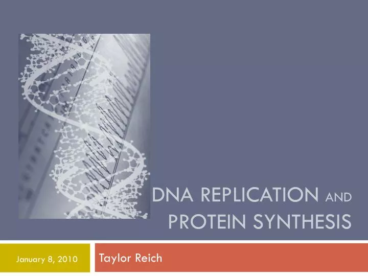 Dna Replication And Protein Synthesis Word Search
