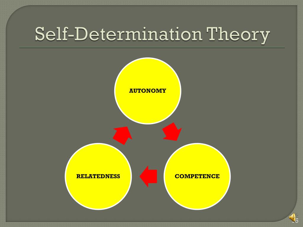 self determination theory presentation