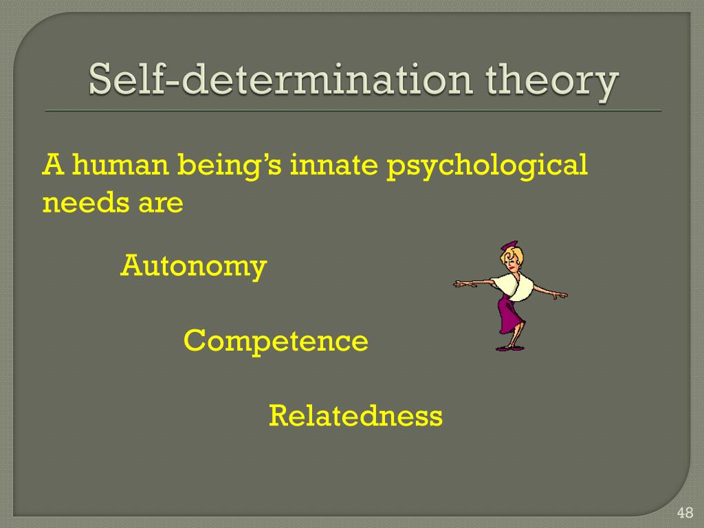 self determination theory presentation