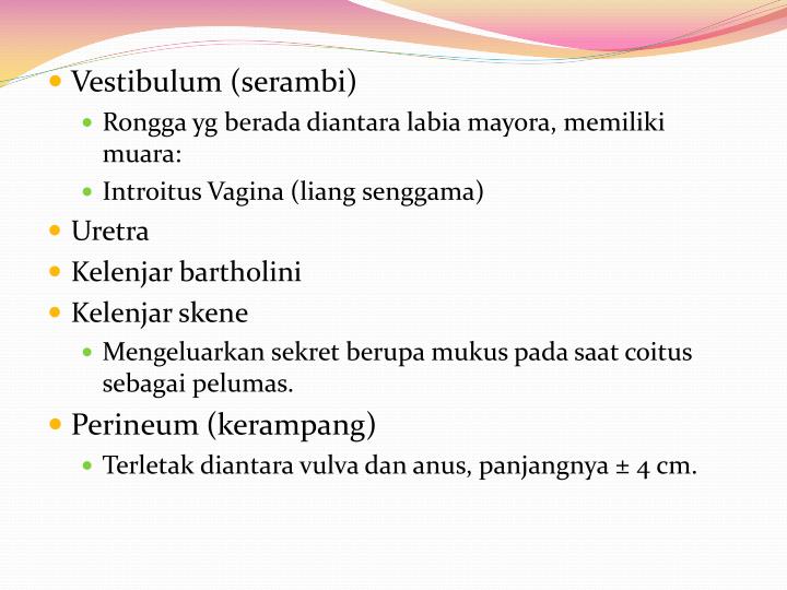 Ppt Sistem Reproduksi Wanita Powerpoint Presentation Id 2381589