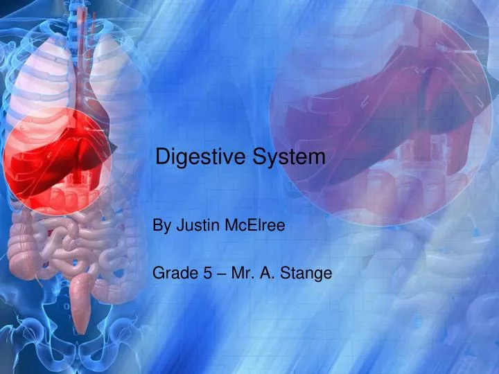 Ppt Digestive System Powerpoint Presentation Free Download Id2381609