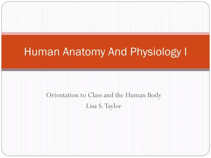 Ppt Human Anatomy And Physiology I Powerpoint Presentation Free