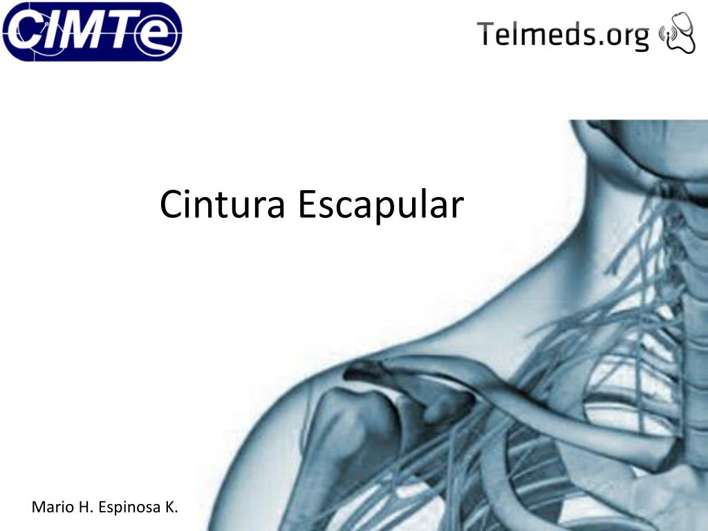 PPT - Cintura Escapular PowerPoint Presentation, free download