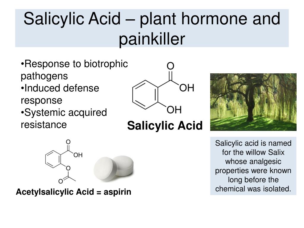 Salicylic acid. Salicylic acid Plant Hormone. Systemic acquired Resistance. Salicylic acid in Plant.