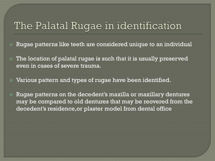 PPT - FORENSIC ODONTOLOGY - An Overview PowerPoint Presentation - ID ...