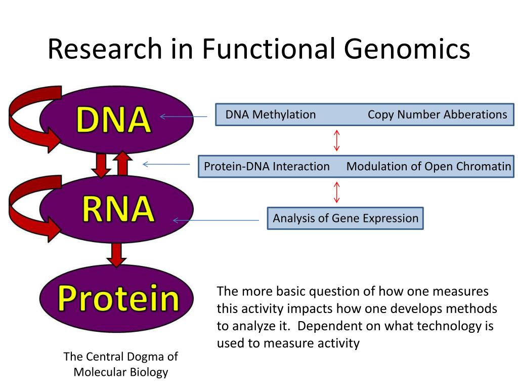 analysis in functional genomics research