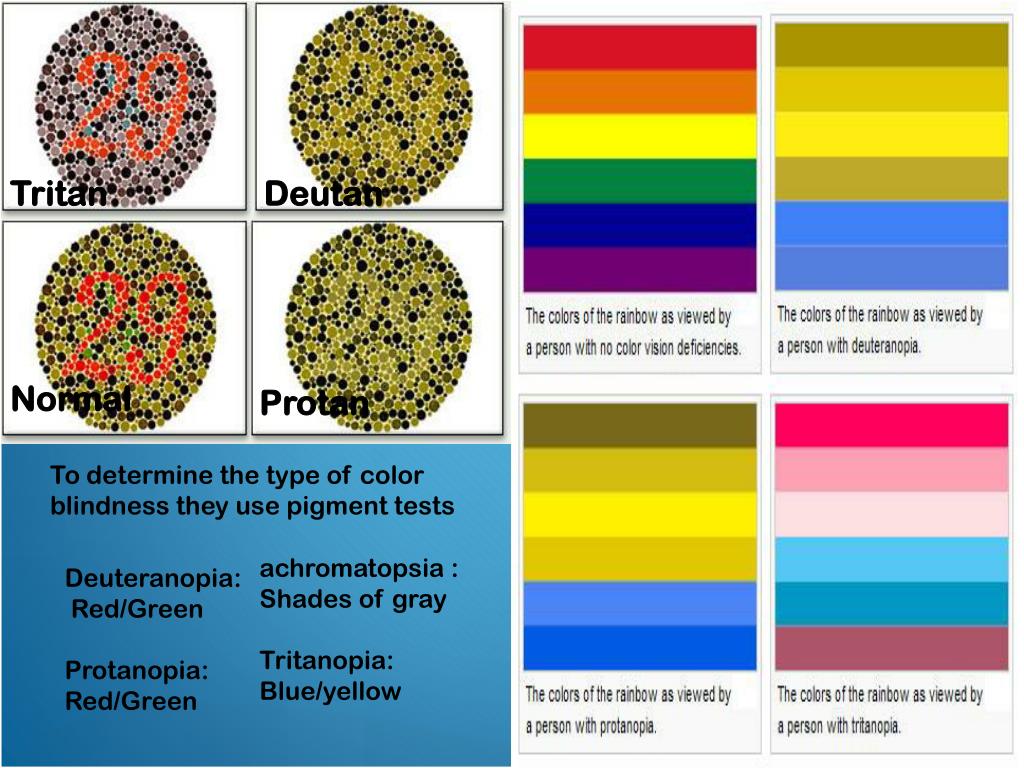 best presentation colors for color blind