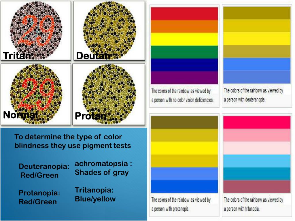 Отличают цвета. Protan дальтонизм. Цвета для дальтоников. Дальтонизм цветовая слепота. Цветовая палитра для дальтоников.