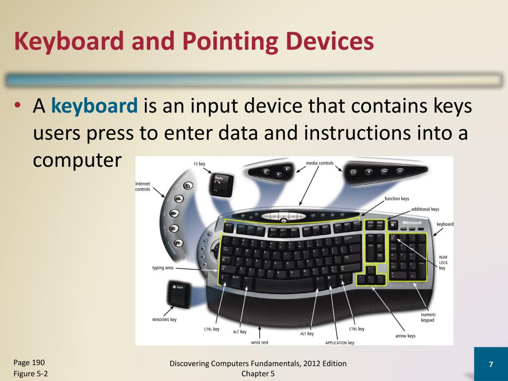 Input components. Alternative Keyboards and pointing devices for disabled.