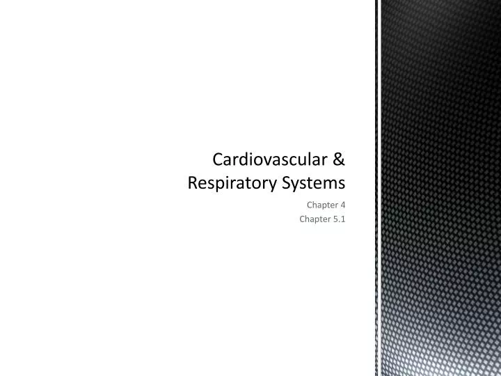 PPT - Cardiovascular & Respiratory Systems PowerPoint Presentation - ID ...